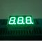 0,36 bewegen Sie numerische LED-Anzeige, Blau 3 dight 7 Segment geführte Anzeige 80mcd - 100mcd Schritt für Schritt fort