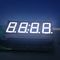 Ultra blaue LED-Uhr-Anzeige 0,56&quot;, geführte 4 dight 7 Segmentanzeige 50.4*19*8MM