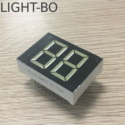 Ein guter Preis. 20 mm weiße Farbe 2-stellige 7-Segment-LED-Anzeige für digitale Warmwasserbereiter Online