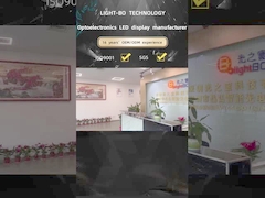 Kleine Größe 8 mm 6 Ziffer 7 Segment Led Display 0,31 Zoll für Temperaturanzeiger