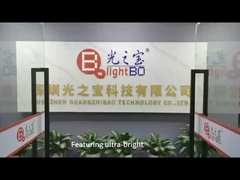 Kundenspezifische 2-stellige runde LED-Anzeige für Geschwindigkeitsanzeigen