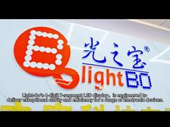 4stelliges 7-Segment-LED-Display für den Temperaturregler