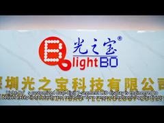 Benutzerdefiniertes Duales 7-Segment-LED-Display